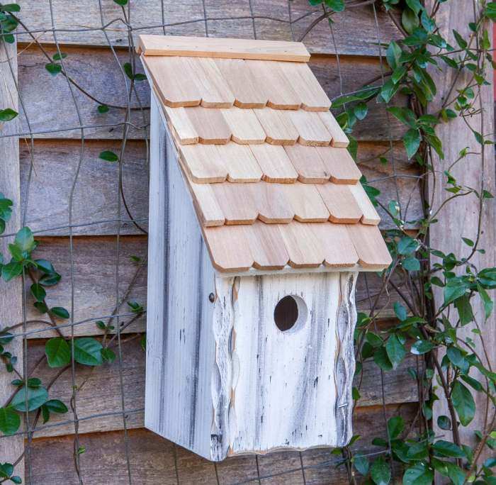 Bluebird Bunkhouse Bird House White